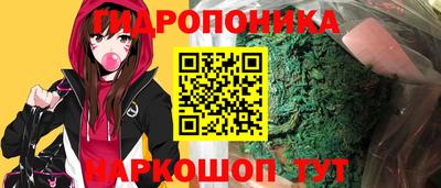 прущие грибы Лесосибирск