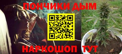 прущие грибы Лесосибирск