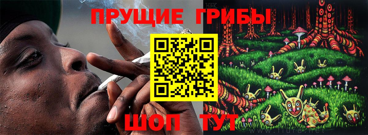 Псилоцибиновые грибы Magic Shrooms  купить наркоту  Серов  Вход с VPN  Псилоцибиновые грибы ЛСД 