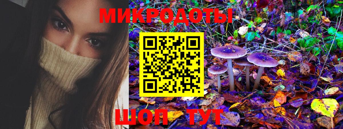 Галлюциногенные грибы Psilocybine cubensis Серов